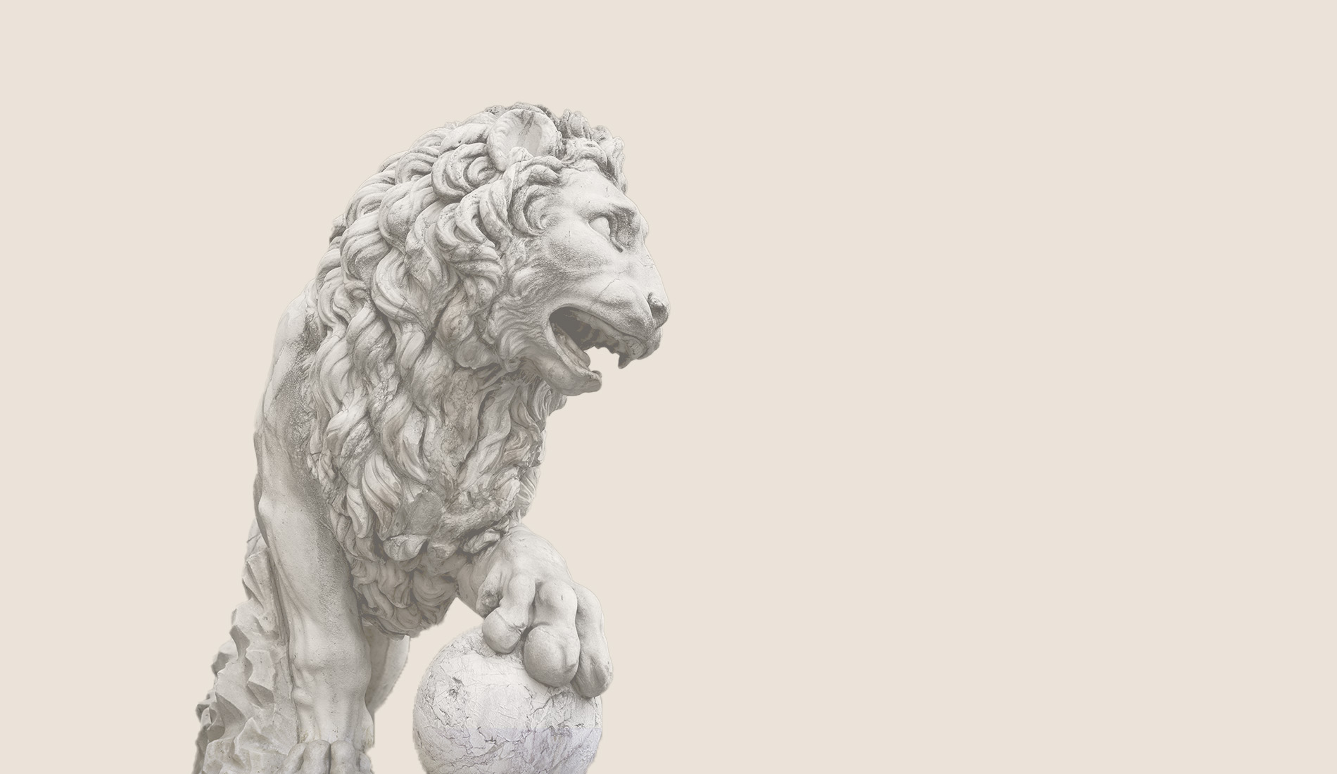 Image de présentation de Interview de David Shabtaï